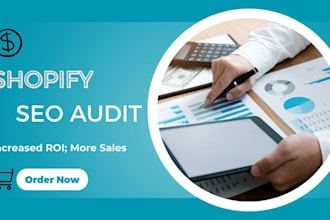 do shopify seo audit and proper guideline