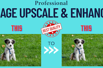 professionally upscale and enhance your images