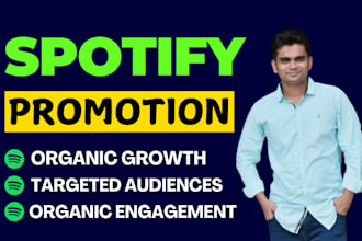 do professional spotify music promotion organically