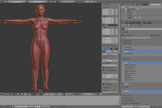 fix 3d rig, weight paint, face or body rig, blendshapes, retopology, clean mesh