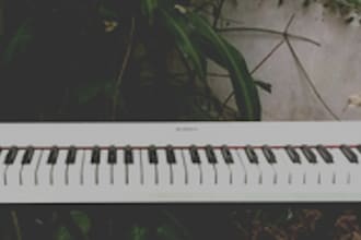 record piano or synths or keys to any song