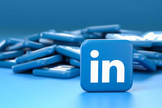 write, rebrand, edit and optimize your linkedin profile