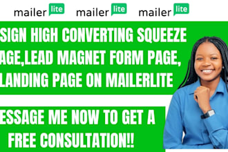 do high converting squeeze page lead magnet form page landing page on mailerlite