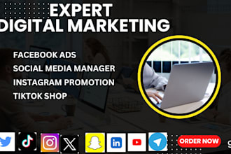 do facebook ads social media marketing manager tiktok shop instagram promotion
