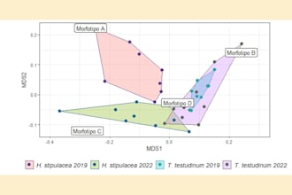 create amazing data visualizations in rstudio for you