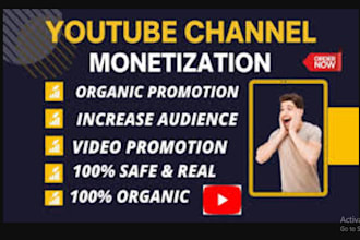 do youtube channel promotion and increase your subscribers via email campaign