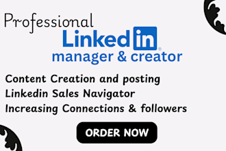 professionally manage and ghostwrite for your linkedin