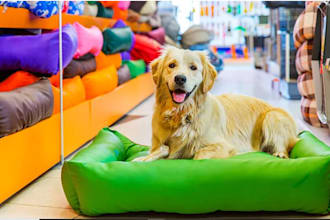 build shopify pet store with vitamins,eco friendly toys pet gear and dog wellnes