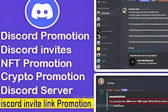 prmote nft discord server discord, nft promotion, crypto promotion
