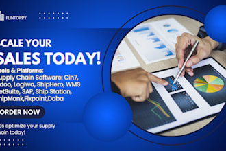 be your supply chain management consultant inventory and logistic expert