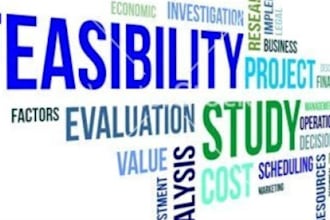 make feasibility study for chemical manufacturing plant