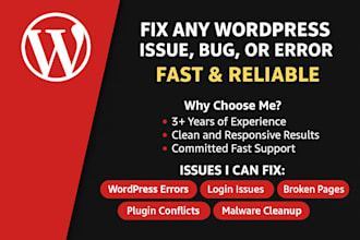 do wordpress fix wordpress issues wordpress error wordpress bug fix
