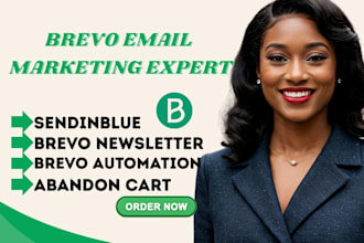 be your brevo email marketing expert, automation pro, campaign specialist