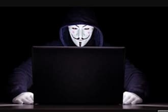 help to prevent cyberattacks, recovery of lost funds from fake website
