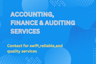 provide audit, accounting and financial reporting services