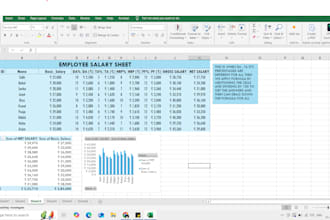 help you with excel tasks like data entry, formulas vlookup, if, sumif