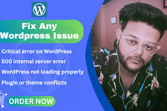 fix any wordpress bug, error, or critical issue professionally