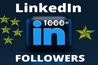 grow your linkedin 1,000 connections or business page followers