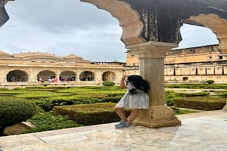 plan your perfect india trip with full travel arrangements