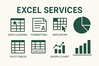 do data entry, cleaning, create pivot tables, graphs and summarize data in excel