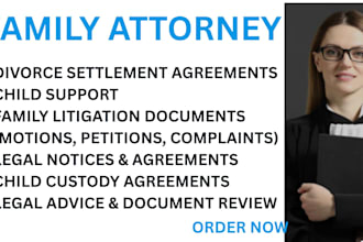 provide divorce settlement, child support, or family litigation services