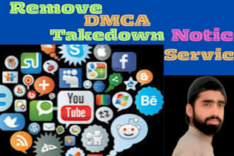 send takedown notice to remove on google reddit, tiktok, facebook etc,under dmca