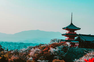help you with your business in japan