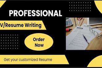 create a professional CV and executive resume as an expert CV maker in 11 hours