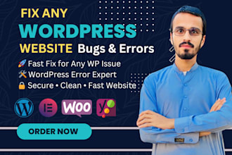 fix wordpress errors, bugs, and issues professionally