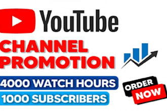 set up optimize and manage your youtube mcn mnv and for maximum monetization