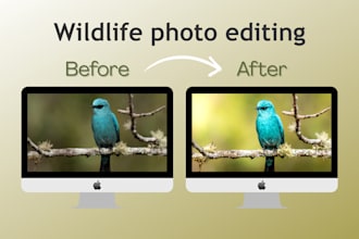 edit your wildlife, pet, or other photos professionally using lightroom and ps