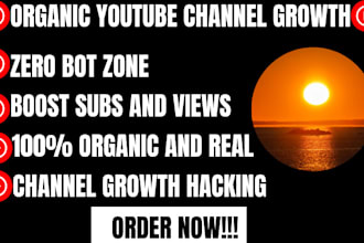 promote your youtube channel organically and shoutout to 100k targeted audiences