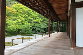 be your personal japanese translator