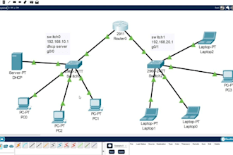 provide professional IT and network services including cisco