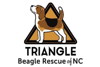 design classic perfect logo for triangle beagle rescue
