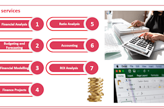 do financial analysis, accounting, finance projects and reports