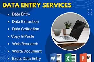 do professional microsoft excel data entry, formatting, and analysis