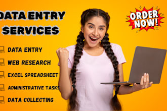 virtual assistant for data entry, data collection, web research and admin tasks