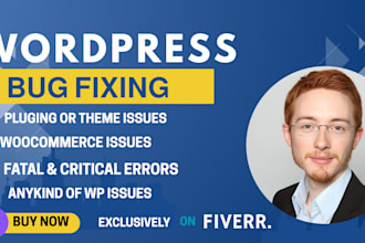 fix wordpress issues, critical errors, wordpress bug fix, wordpress help