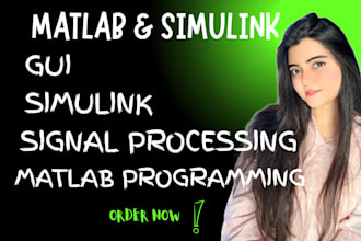 do matlab programming, simulink and signal processing