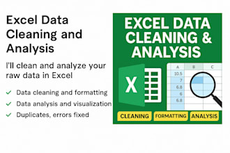 clean, format and analyse your excel data professionally