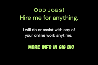 be your virtual assistant and odd jobs guy