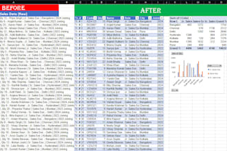 professionally clean, format and merge your excel data