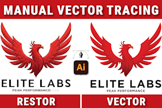 vectorize your logo or image, do manual vector tracing, and redraw fast