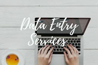 provide fast and reliable data entry and admin support