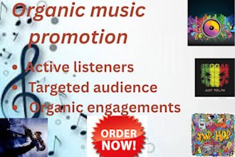 promote you hiphop, rap, reggae, blues, pop, rock , jazz to the right audience