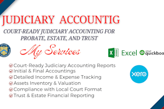 do judicial accountings for court, probate, legal, and litigation purposes