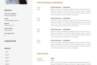 create a professional curriculum vitae CV for you