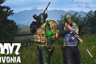 create custom dayz mods, scripts and server coding for you