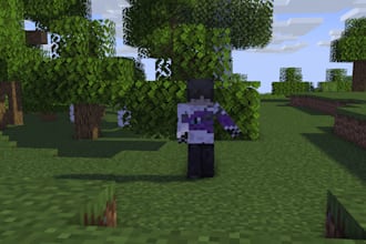 do you a minecraft skin